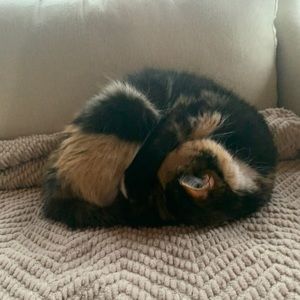 Meet your Posher, Karie